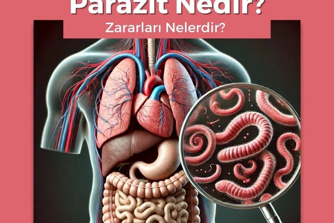 İnsan vücudu şeması ve büyüteç içinde solucan biçimli parazitleri gösteren tıbbi çizim